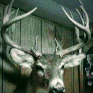 Meet your Posher, Wade